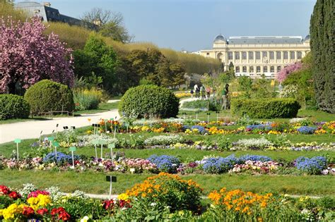 jardin des plantes paris culture review conde nast traveler