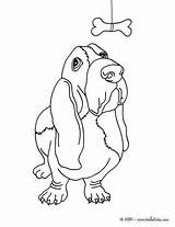 Basset Hound Colorear Dibujos Perros Hellokids Ausmalen Chien Bassett Yodibujo Hounds Gatos Sketchite Hunde sketch template