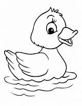 Coloring Duck Baby Pages Cute Popular sketch template
