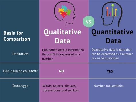 qualitative  quantitative data infographic