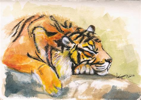resting tiger watercolor