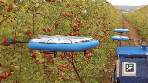 deze drones plukken appels maar alleen als ze rijp zijn rtl nieuws