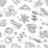 Spices Pattern Doodle Spice Herbs Hand Drawing Drawn Vector Seamless Fresh Paintingvalley Illustration Drawings Thehungryjpeg sketch template