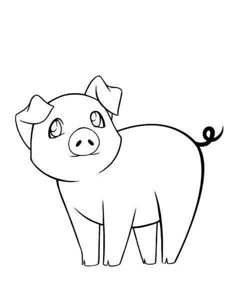 cute pig drawing  getdrawings