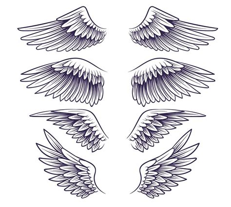 hand drawn wing sketch angel wings  feathers elements  logo