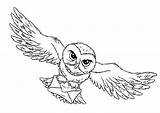 Potter Hedwig Hogwarts Schnatz Niños Gryffindor Colornimbus Peliculas 1001 Calcar sketch template