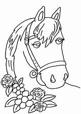Pferde Pferd Malvorlage Ausmalbilder Malvorlagen Ausdrucken Pferdekopf Malen Ausmalbild Vorlage Kleurplaat Drucken Hufeisen Gratis Barbie Koppel sketch template