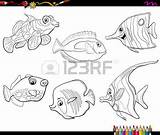 Mandarinfish Coloring Designlooter Fish Mandarin Tropical Sea Characters Animal Illustration Cartoon Set Life 32kb 381px sketch template