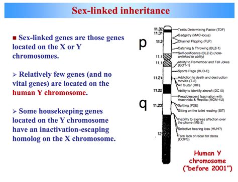 List Of Sex Linked Genetic Disorder