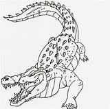 Crocodiles sketch template