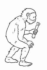 Uomo Homo Preistoria La Prehistoria Neanderthalensis Storia Ominidi Di Primitivo αναζήτηση Maestro Cris Google Galleria Foto Dell Da Gli Imatges sketch template