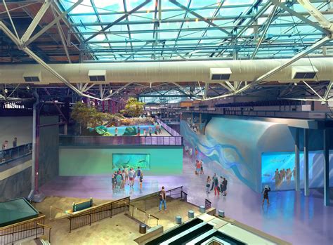 expect immersive experiences   st louis aquarium terrain magazine