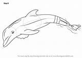Dolphin Winter Drawing Draw Step Mammals Marine Tutorial Animals Necessary Improvements Finally Finish Make Tutorials Drawingtutorials101 sketch template