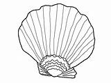 Coloring Seashell Shells Pages Shell Sea Seashells Printable Beach Grass Kids Drawing Oyster Color Print Colouring Clipart Drawings Getdrawings Getcolorings sketch template