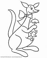 Kangaroo Pre Coloring Pages Color Baby Printable Easy Drawing Kids Print Animal Australia Templates Clipart Kindergarten Sheets Honkingdonkey Colouring Books sketch template