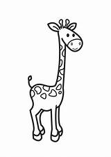 Giraffa Stampare sketch template