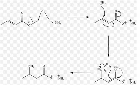 carboxylic acid amine reaction carboxylic acid  amide turjn