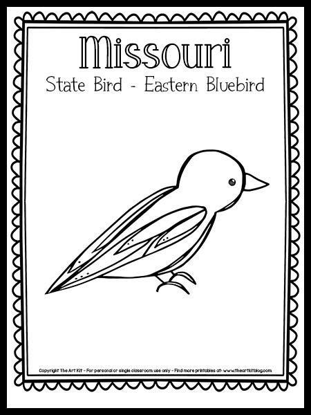 missouri state bird coloring page  eastern bluebird
