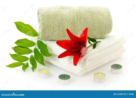 spa  red lily stock image image  objects bright