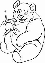 Coloring Panda Pages Bear Animals Pug Bird sketch template