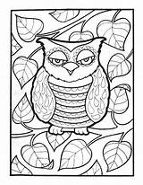 Coloring Pages Doodle Owl Sheets Let sketch template