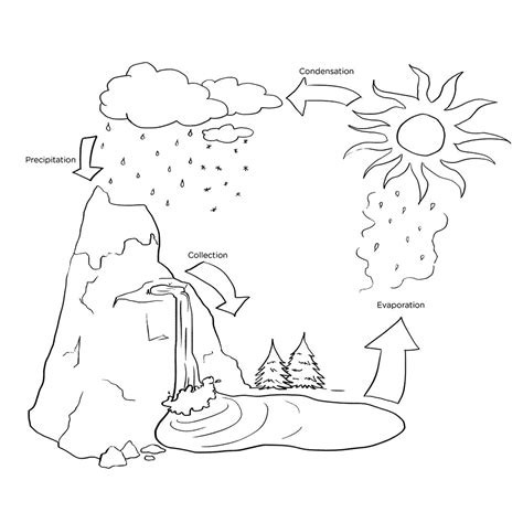 printable coloring pages   water cycle   gambrco