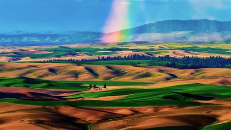 rainbow   colorful fields hd wallpaper
