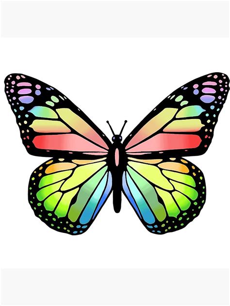 cute butterfly drawing    clipartmag
