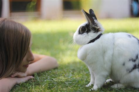 human bunny friendship  calitha lena  deviantart