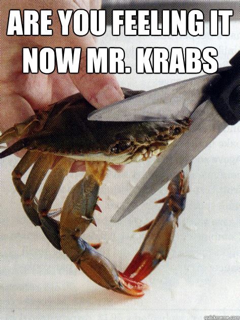 Are You Feeling It Now Mr Krabs Optimistic Crab Quickmeme