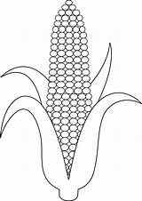 Corn Clip Lineart Sweetclipart sketch template
