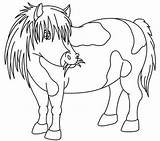 Coloring Pony Shetland Pages Kids Crafts Horses Make Ponies Little Choose Board sketch template