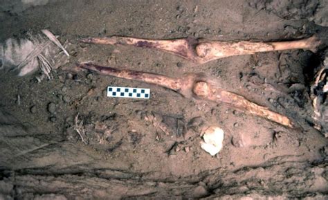 gallery ancient egypt cemetery reveals season of sex live science