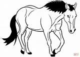 Horse Mustang Clipart Coloring Pages sketch template