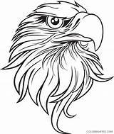 Coloring Pages Eagle Printable Coloring4free Head Related Posts sketch template