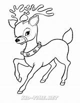 Reindeer Caribou sketch template