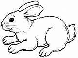 Rabbit Coloring Pages Printable Kids Clipart Bunny Color Cartoon Clipartbest Rabbits Template Print Bunnies Easter Cute Animal Cutouts Colouring Sheet sketch template