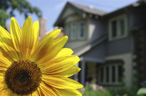 tips  selling  home   spring real estate market rismedias housecall
