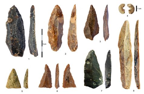 oldest upper paleolithic homo sapiens  europe science codex