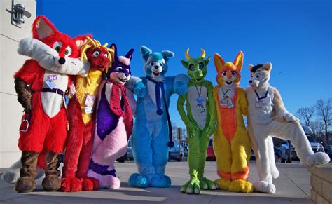 Is Being A Furry Considered A Sexual Orientation Furries Attend A