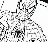 Spiderman Coloring Pages Logo Spider Man Venom Drawing Color Ultimate Easy Printable Amazing Getcolorings Simple Getdrawings Draw Clipartmag Print sketch template