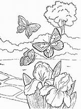 Coloring Spring Pages Great Print sketch template