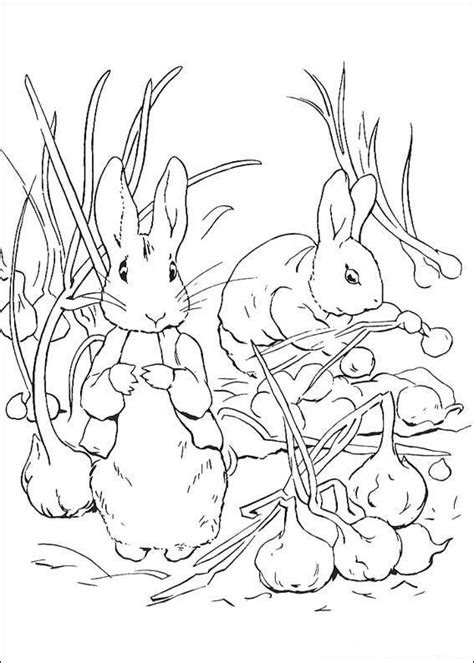 coloring pages  peter rabbit  kids  funcouk op kids  fun