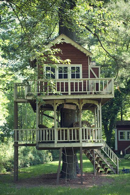 images  tree house  pinterest treehouse hotel swiss family robinson