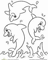 Coloring Pages Dolphin Worksheet Dolphins Preschool Sheets Kids Colouring Worksheets Dibujos Printable Drawing Craft Bird Color Theme Ocean Books Crafts sketch template