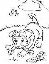 Puppies Coloring Pages Printable Kids sketch template