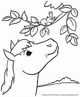 Horse Coloring Pages Country Farm Kids Printable Honkingdonkey sketch template