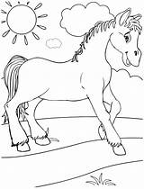 Cavallo Raskrasil sketch template
