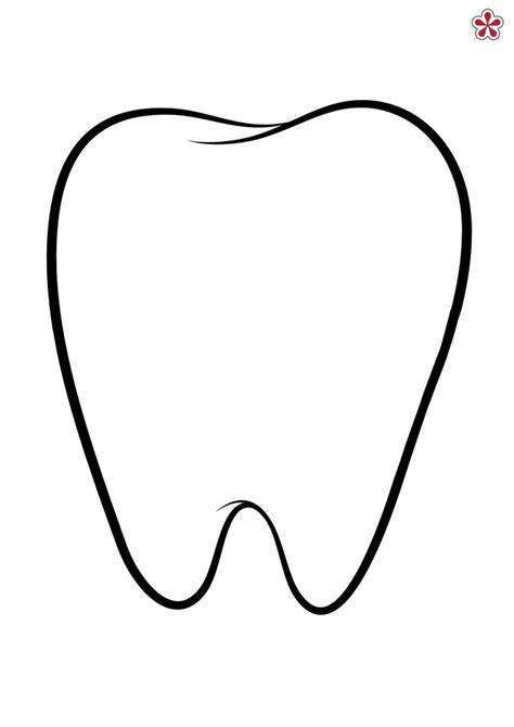 tooth printable outline coloring template school coloringpage eu pages