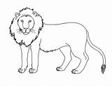 Cougar Coloring Pages Getcolorings Lion Mountain sketch template
